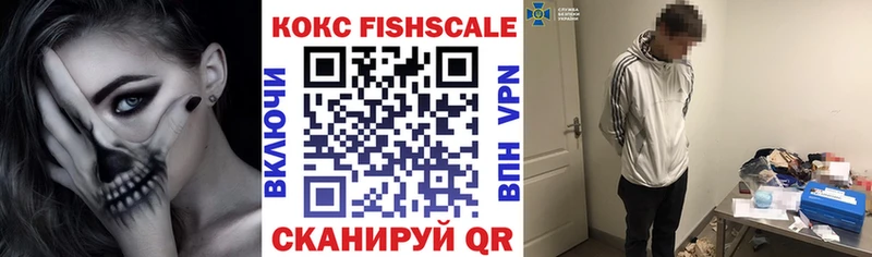 КОКАИН Fish Scale  мега tor  shop официальный сайт  Сураж 