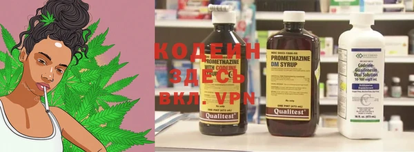 индика Балабаново