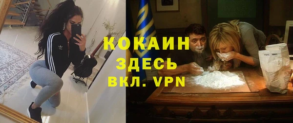 индика Балабаново
