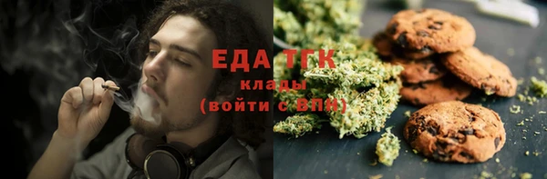 индика Балабаново