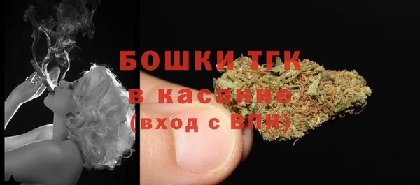 индика Балабаново