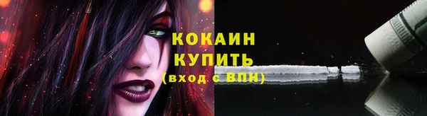 индика Балабаново