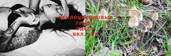 индика Балабаново