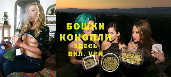 индика Балабаново