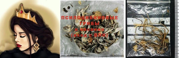 индика Балабаново